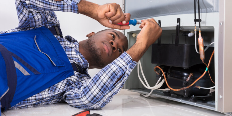 Professional Refrigerator Repair Service